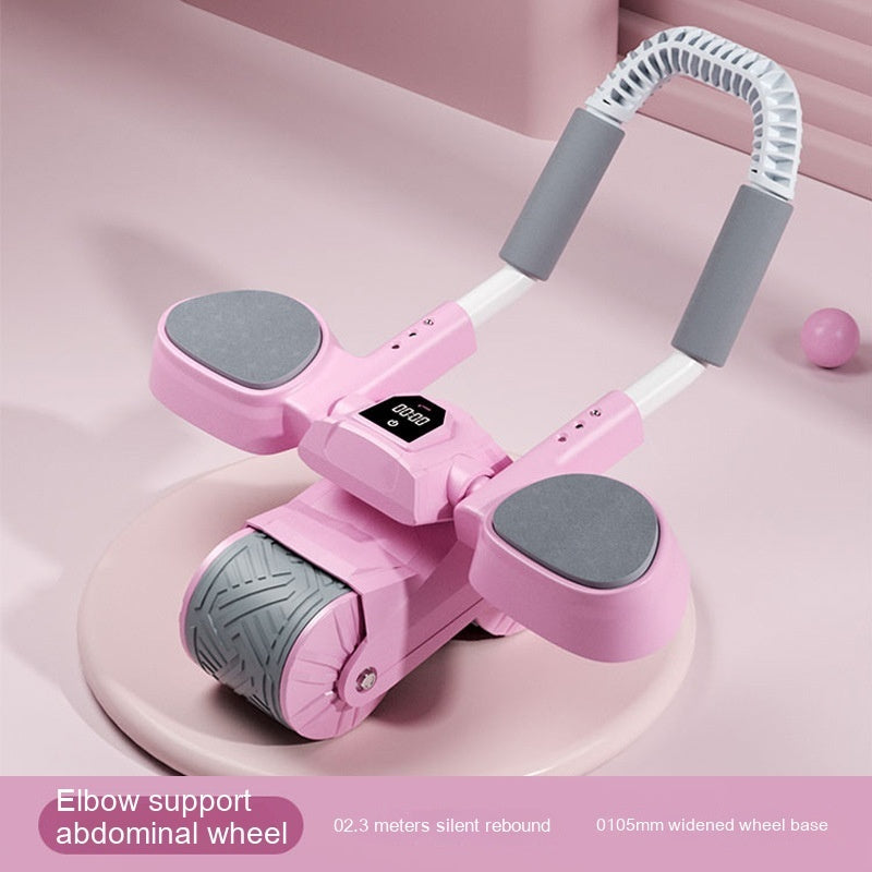 Fashion Abdominal Fitness Wheel