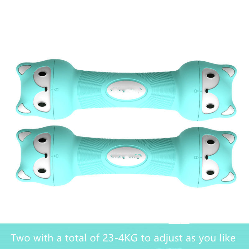 Ladies Small Dumbbells Home Fitness